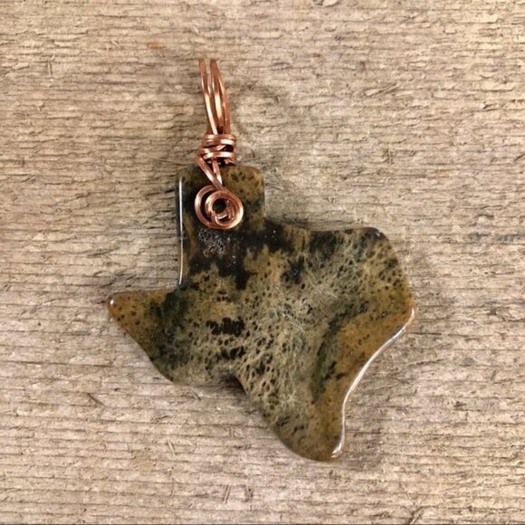 Bob & Alice Rock! Jewelry - Petrified Wood Texas Necklace Pendant